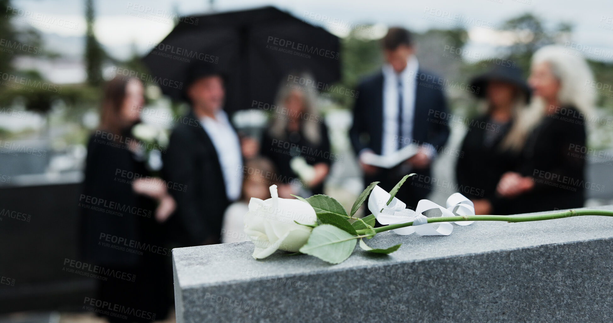 Buy stock photo People, tombstone and rose in cemetery with funeral, remembrance and burial ceremony for final goodbye. Gravestone, flower and family in graveyard outdoor with memorial service, mourning and grief.