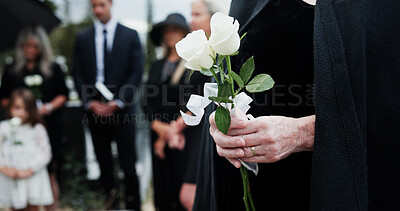 Buy stock photo Woman, hand and white rose in cemetery with funeral, remembrance and burial ceremony for final goodbye. Person, flower and family in graveyard outdoor with memorial service, mourning and bereavement.