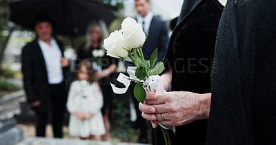 Buy stock photo Funeral, rose and old woman in cemetery with hands, family grief and burial ceremony for final goodbye. Elderly person, flower and people in graveyard outdoor with memorial service, mourning or death