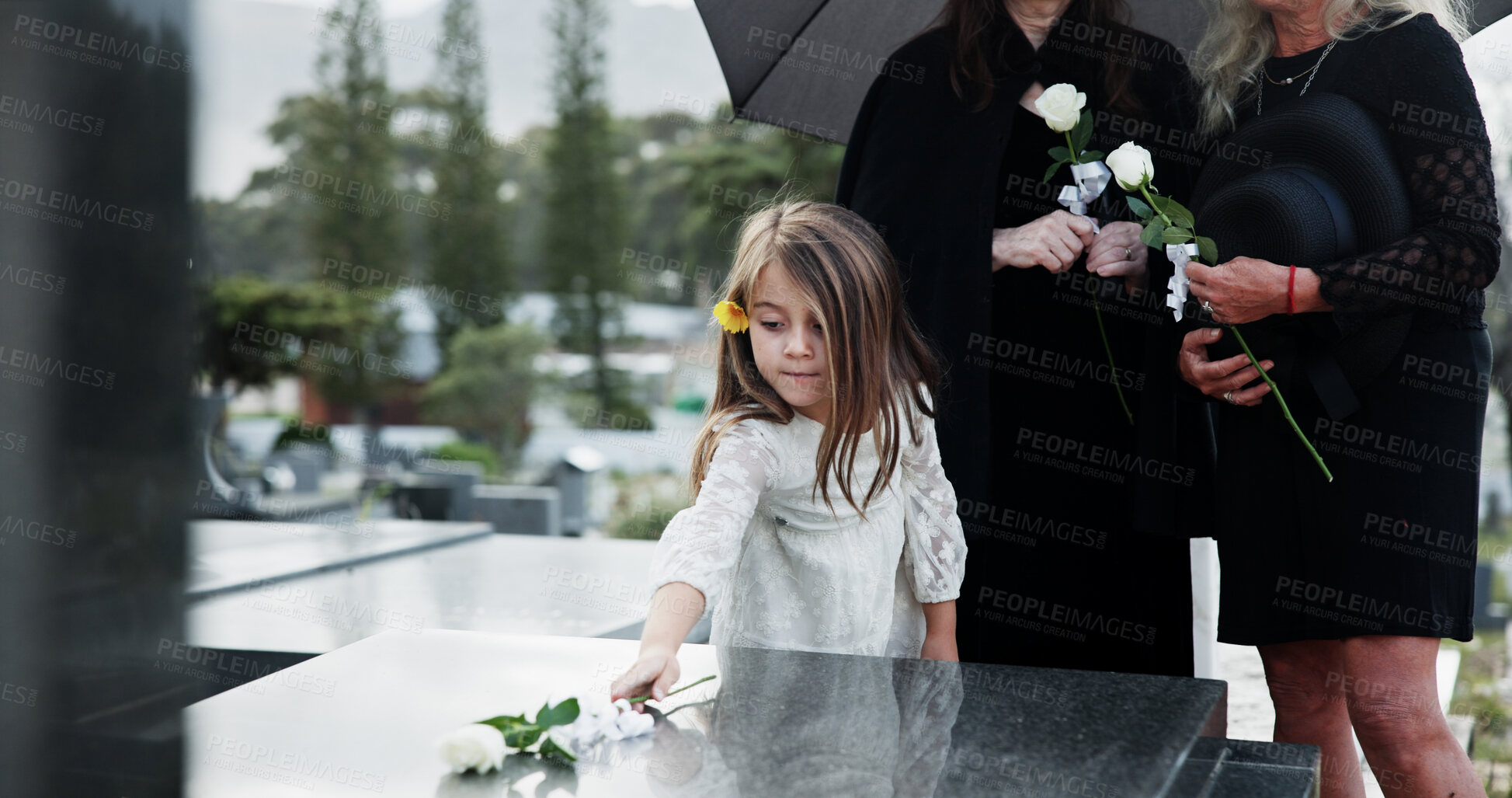 Buy stock photo People, child and rose in graveyard with tombstone, funeral support and mourning for burial ceremony. Family, girl and white flower in cemetery outdoor with grief, sorrow and gravestone for memorial.