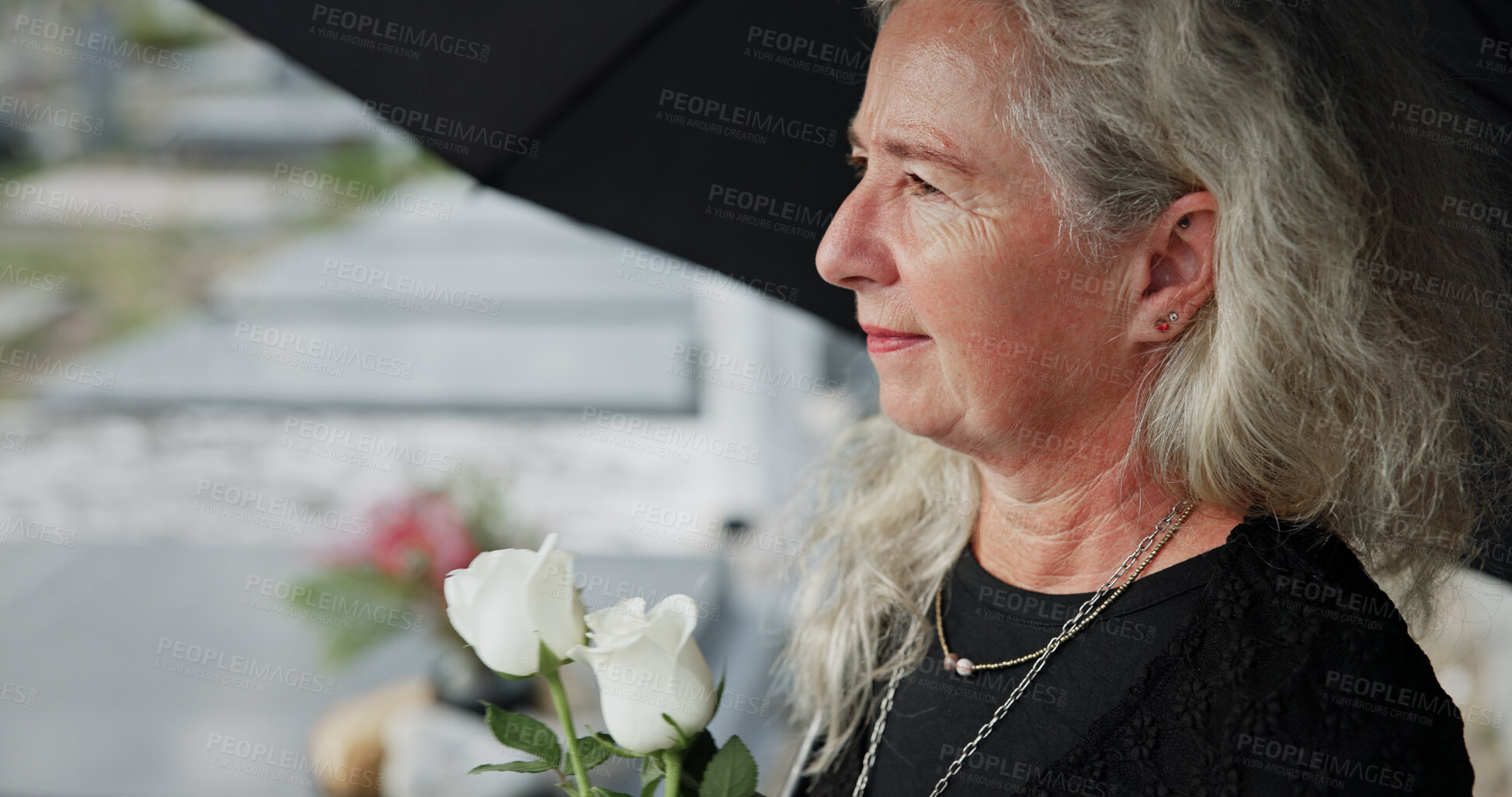 Buy stock photo Elderly, woman and umbrella at cemetery with flowers, grieving loved one and thinking about past memory. Sad, old person and reflection at graveyard outdoor with roses, mourning and sorrow for death.