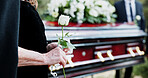 Coffin, rose and old woman in graveyard with hand, funeral service and burial ceremony for final goodbye. Senior person, flower and casket in cemetery outdoor with memorial, mourning and bereavement.