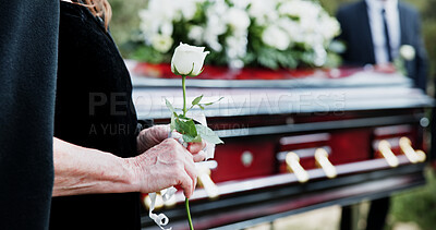 Buy stock photo Coffin, rose and old woman in graveyard with hand, funeral service and burial ceremony for final goodbye. Senior person, flower and casket in cemetery outdoor with memorial, mourning and bereavement.