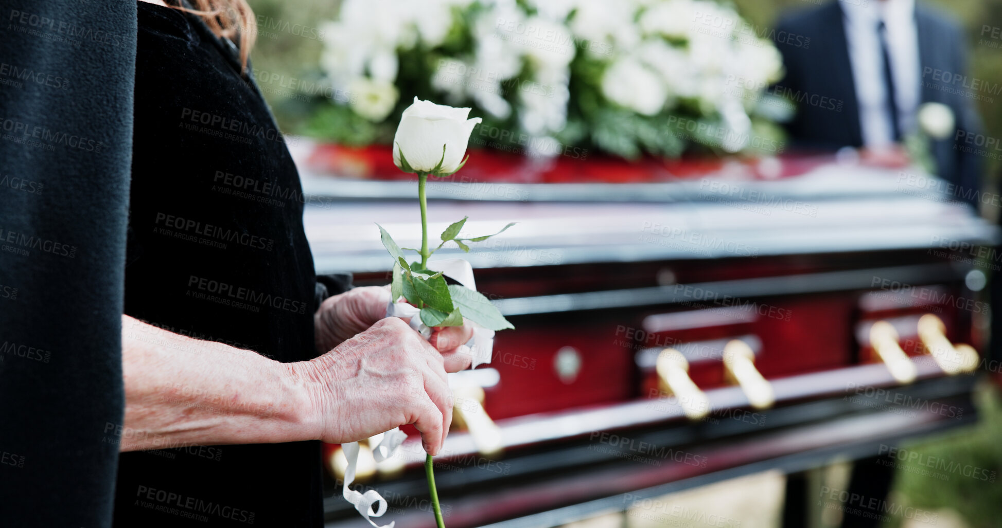 Buy stock photo Coffin, rose and old woman in graveyard with hand, funeral service and burial ceremony for final goodbye. Senior person, flower and casket in cemetery outdoor with memorial, mourning and bereavement.