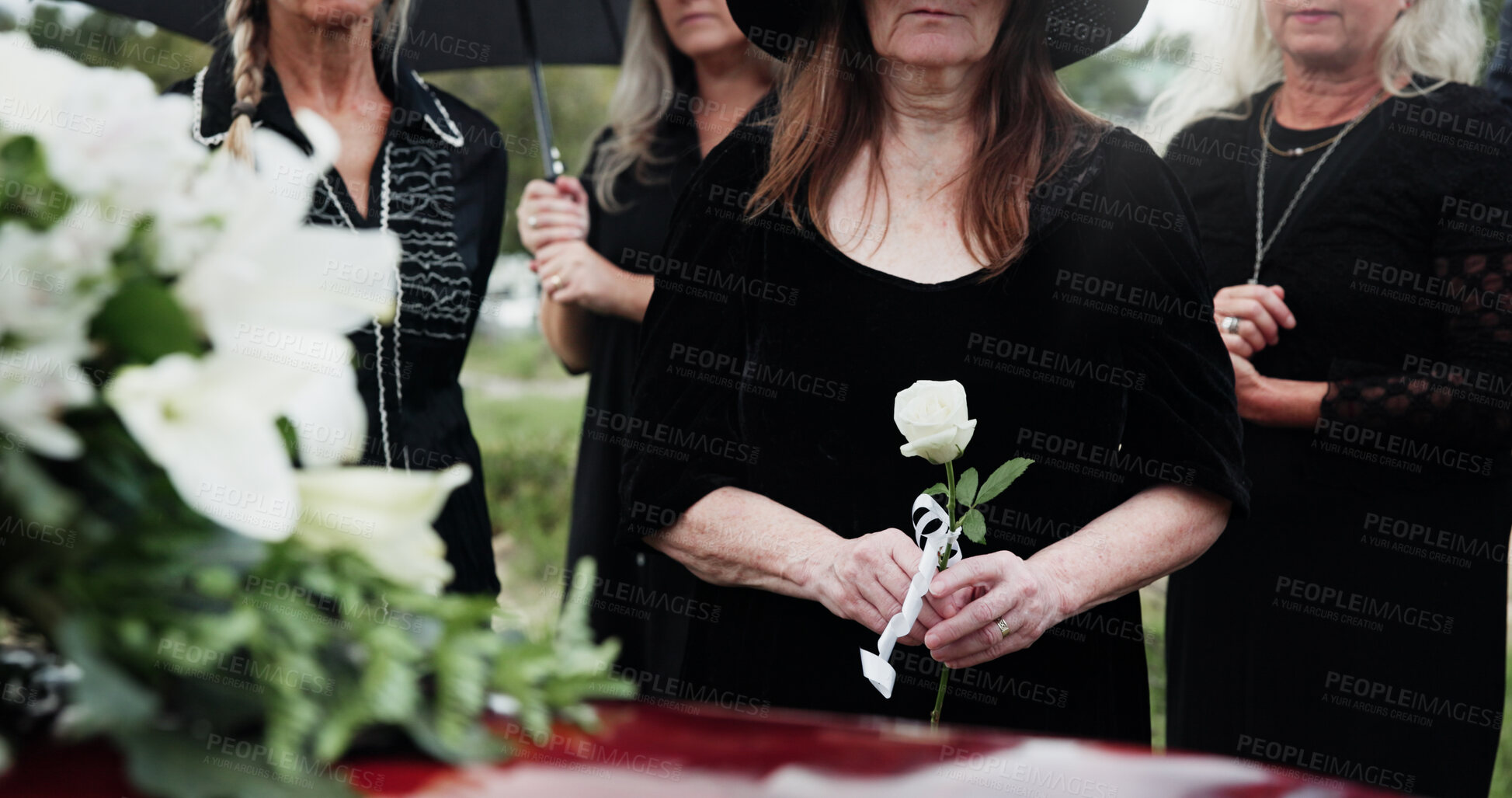 Buy stock photo Coffin, hands and old woman in cemetery with rose, funeral and people mourning for burial ceremony. Senior person, flower and casket in graveyard outdoor with memorial, family death and bereavement.