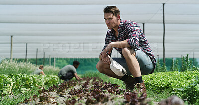 Buy stock photo Plants, man and farmer in greenhouse for inspection, sustainable and agro business with crops. Quality assurance, eco friendly and male person with growth for horticulture at agriculture harvest.