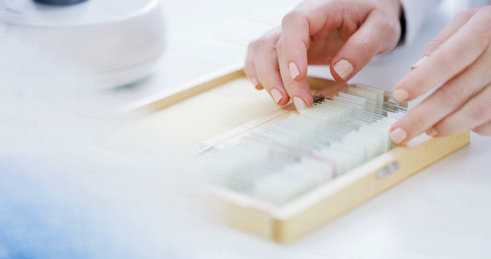Buy stock photo Hands, woman and microscope slides for research, test or biology analysis in laboratory box. Equipment, micro glass and person with medical science, chemistry or biotechnology tools for innovation