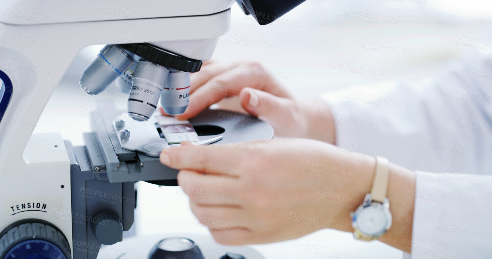 Buy stock photo Hands, woman and microscope slides for science, test or biology analysis in laboratory box. Equipment, micro glass and person with medical research, chemistry or biotechnology tools for innovation