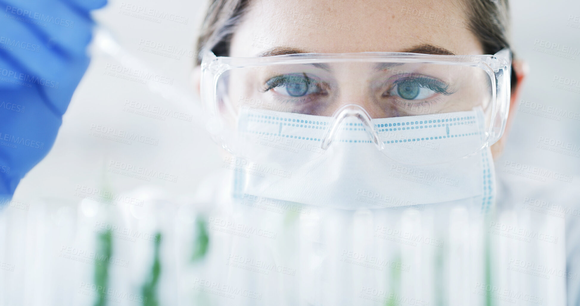 Buy stock photo Vials, science and woman with plant in test tube for gmo development, sustainability and inspection. Biotech, nature and scientist with leaf for study, agriculture and innovation in laboratory