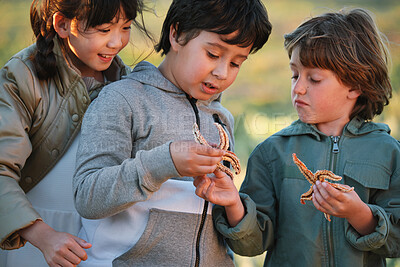 Buy stock photo Nature, students or children with starfish for learning, marine life education or outdoor excursion. Inspection, school trip and kids with sea creature discovery, wildlife interaction and curiosity