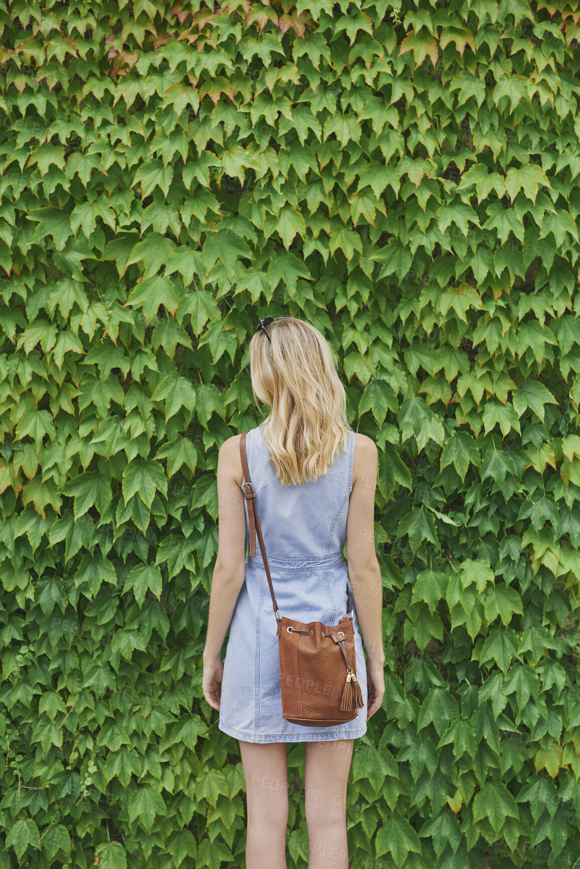 Buy stock photo Back, holiday and woman outdoor with hedge, travel and botanical landmark on adventure trip. Wall, leaves and female person in nature with tourist, green scenery and destination of vacation getaway