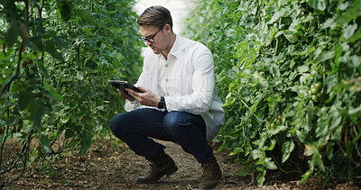 Buy stock photo Scientist, man and tablet research on farm for crop profiling, log plant count and agronomy report. Medical, agronomist and tech in nature for checking field history, yield management and soil health