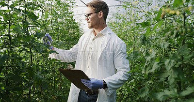 Buy stock photo Greenhouse, scientist and man with clipboard for inspection, agriculture or monitor crop with gloves. Outdoor, quality check and health assessment for food production, agronomist and person with info