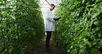 Scientist, man and writing on clipboard in greenhouse for nutrient status, crop scouting and report. Medical research, agronomist and checklist for yield management, plant growth progress and results