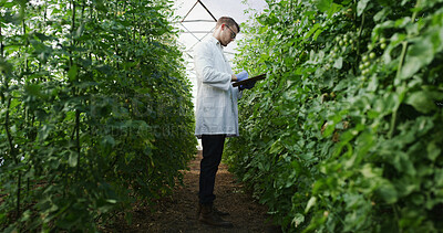 Buy stock photo Scientist, man and writing on clipboard in greenhouse for nutrient status, crop scouting and report. Medical research, agronomist and checklist for yield management, plant growth progress and results