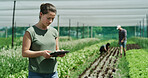 Woman, farmer or agriculture with tablet in greenhouse for agro business, inspection or production. Female person, farming and monitoring crops with technology for harvest or conservation on farmland