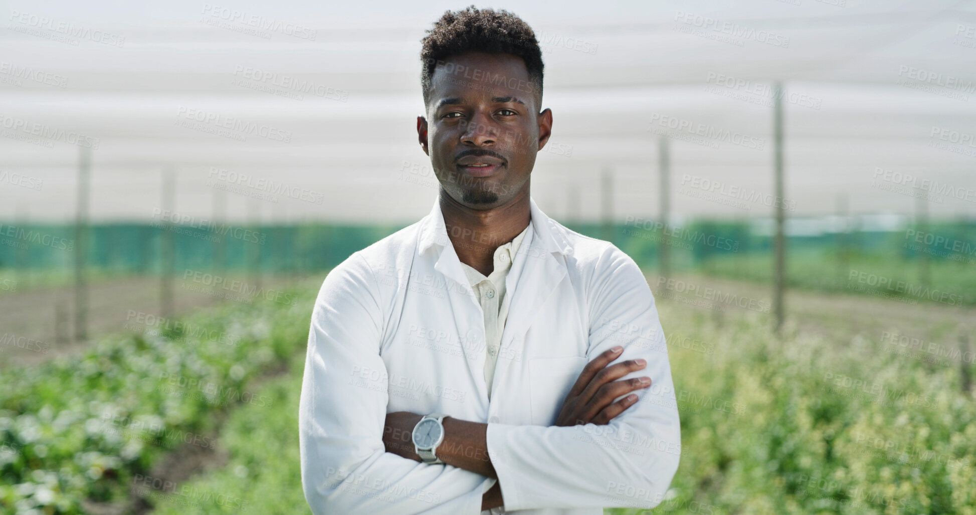 Buy stock photo Portrait, scientist or man with arms crossed in greenhouse, plant genetics research or gmo production. Confident, farm or black person with crop science for cultivation, sustainability or agriculture