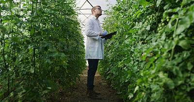 Buy stock photo Scientist, checklist and plant inspection in greenhouse for crop health, growth stages or reporting. Agronomist, man and clipboard on farm for yield management, medical research and quality assurance