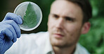 Hands, scientist and petri dish outdoor with leaf, research and botany study for medical cure. Man, botanist or analysis with plant sample for agriculture, microbiology and conservation with specimen