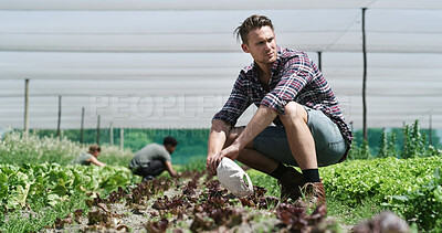 Buy stock photo Plants, thinking and farmer in greenhouse for sustainability, agriculture and agro business with crops. Man, eco friendly and person with plan for growth on farmland for horticulture at harvest