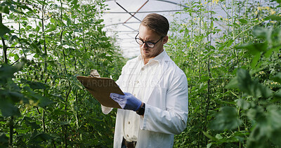 Buy stock photo Scientist, man and writing on checklist in greenhouse for nutrient status, crop scouting and report. Medical research, agronomist and clipboard for yield management, plant growth progress and results