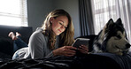 Relax, tablet and woman with husky on bed in apartment for browsing, connection or search. App, break and social media with dog owner person in bedroom of home for download, post or weekend update