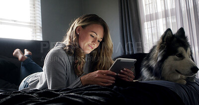Buy stock photo Relax, tablet and woman with husky on bed in apartment for browsing, connection or search. App, break and social media with dog owner person in bedroom of home for download, post or weekend update