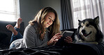 Break, tablet and woman with husky on bed in apartment for browsing, connection or search. App, relax and social media with dog owner person in bedroom of home for download, post or weekend update