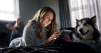 Buy stock photo Break, tablet and woman with husky on bed in apartment for browsing, connection or search. App, relax and social media with dog owner person in bedroom of home for download, post or weekend update