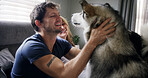 Cuddle, husky and love with couple in home living room for affection, bonding or security. Animal, petting and smile of happy dog owner people in apartment together for care, companionship or loyalty