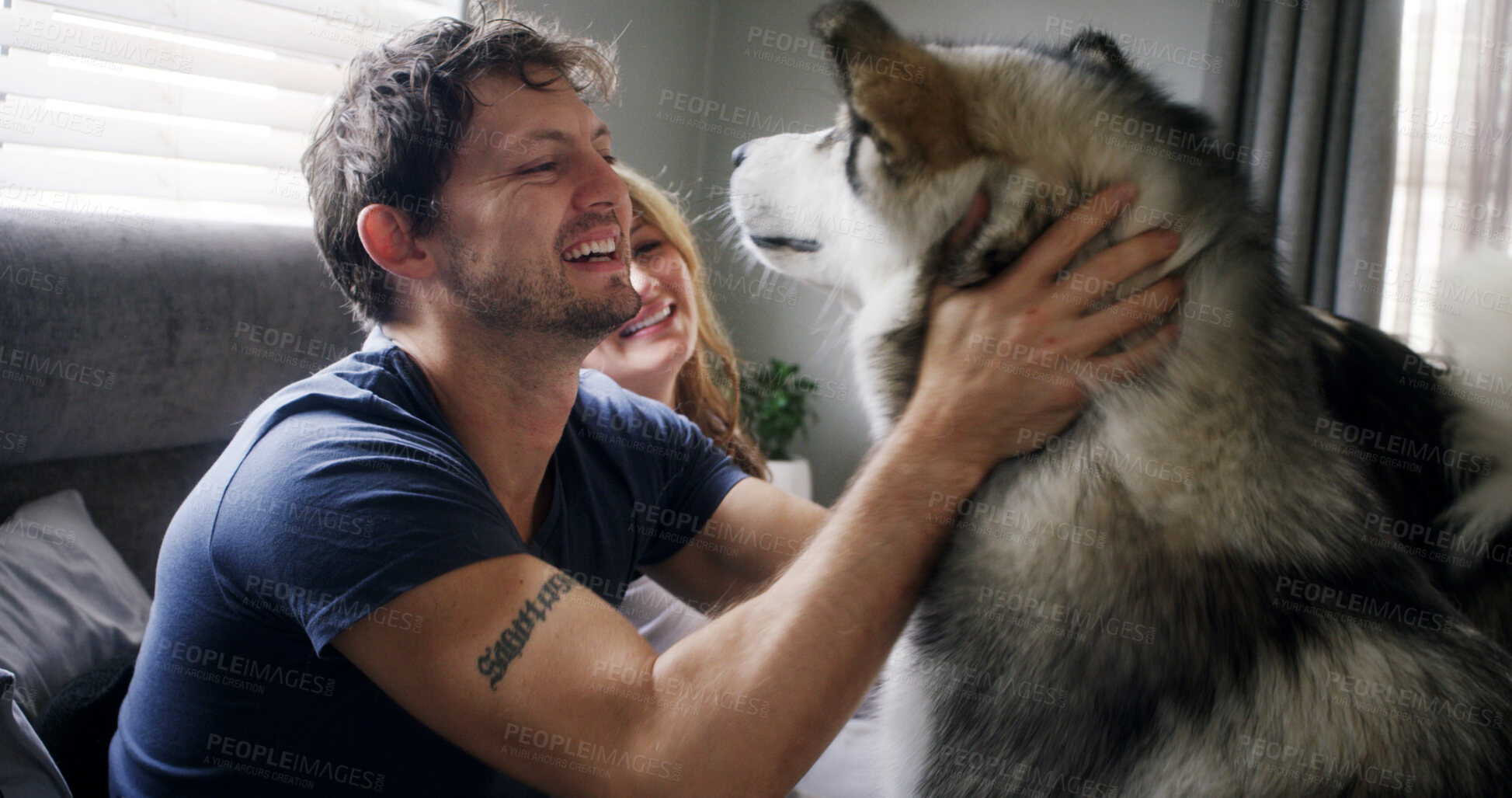 Buy stock photo Cuddle, husky and love with couple in home living room for affection, bonding or security. Animal, petting and smile of happy dog owner people in apartment together for care, companionship or loyalty