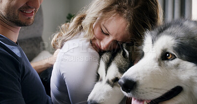 Buy stock photo Hug, husky and love with couple in home living room for affection, bonding or security. Animal, cuddle and smile of happy dog owner people in apartment together for care, companionship or loyalty