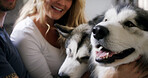 Cuddle, dog and love with couple in home living room for affection, bonding or security. Animal, petting and smile of happy husky owner people in apartment together for care, companionship or loyalty