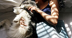 Cuddle, dog and hands of woman in home living room for affection, bonding or security. Care, petting and sunlight with husky owner in apartment together for companionship or loyalty from above