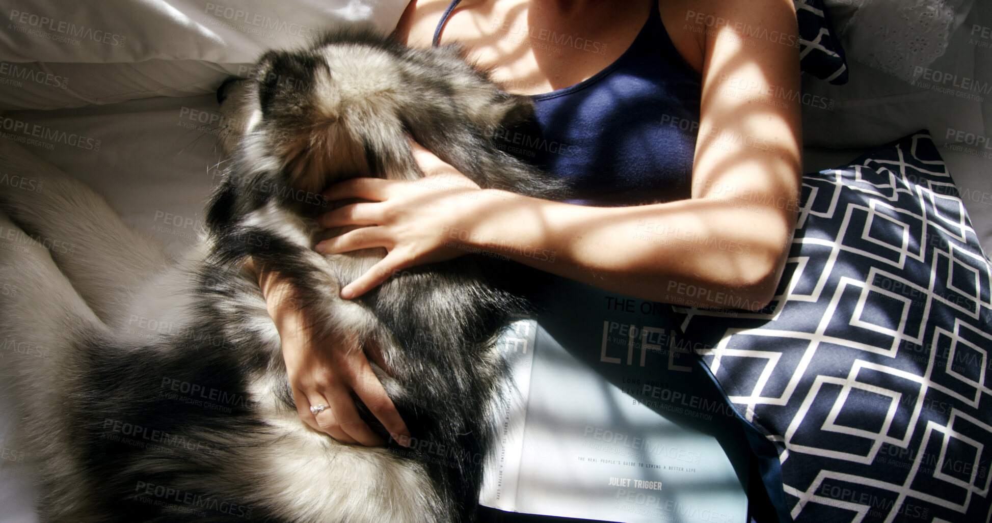 Buy stock photo Cuddle, hands and husky with woman in home living room for affection, bonding or security. Above, petting and sunlight with dog owner in apartment together for care, companionship or loyalty