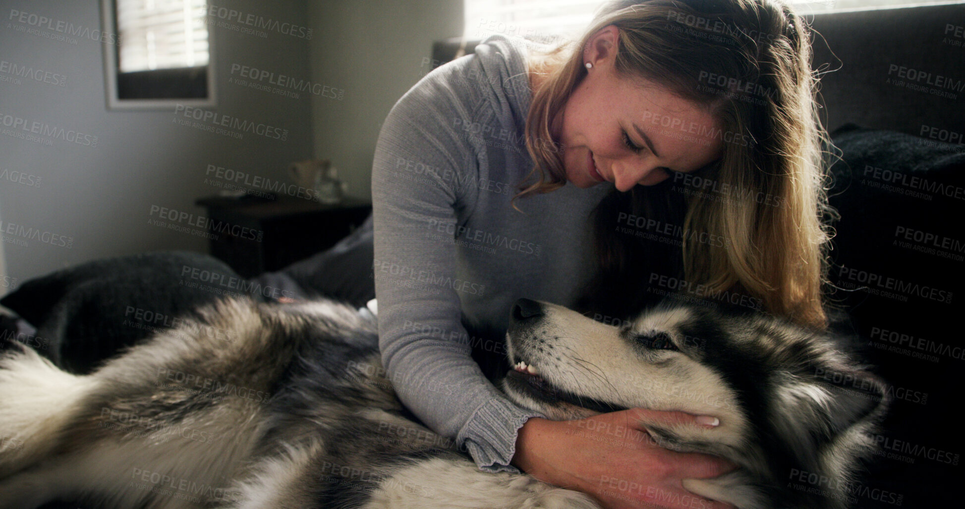 Buy stock photo Cuddle, dog and love with woman in home living room for affection, bonding or security. Animal care, hugging and smile of happy husky owner on sofa in apartment for companionship, loyalty or trust