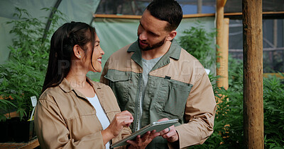 Buy stock photo Tablet, conversation and people in greenhouse for hemp, weed or marijuana growth with research. Happy, digital technology and botanist team with information for cannabis development at conservatory.