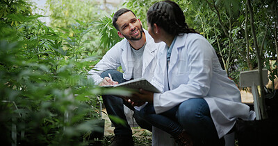 Buy stock photo Scientist, farm and discussion with tablet for marijuana, production and checklist for inspection. People, tech and biology team with cannabis for growth, study or harvest for medical research