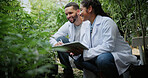 Biologist, farm and discussion with tablet for marijuana, production and checklist for inspection. People, tech and science team with cannabis for growth, study or harvest for medical research