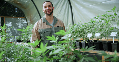 Buy stock photo Smile, weed and portrait of man in greenhouse for cannabis growth, sustainability and agriculture. Herbal medicine, marijuana farmer and cbd production with person for hemp cultivator and plants