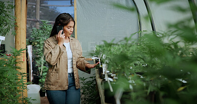 Buy stock photo Leaf, weed and phone call with woman in greenhouse for cannabis growth, inspection and agriculture. Herbal medicine, marijuana farmer and cbd production with person for hemp cultivator and contact