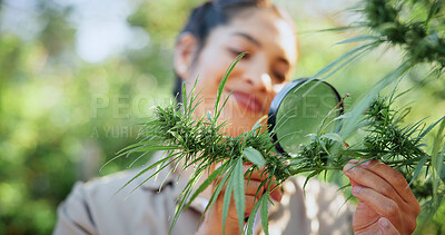 Buy stock photo Cannabis, magnifying glass and woman on farm with plant for inspection, growth and check harvest. Agriculture, farmer and person with quality assurance for marijuana crops, leaves and hemp business