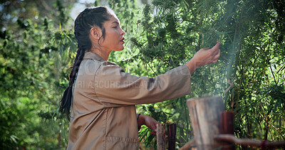 Buy stock photo Woman, inspection and cultivator with weed plants for agriculture, growth and harvest of cannabis. Person, farming and quality assurance of marijuana, crop cultivation and monitor for hemp production