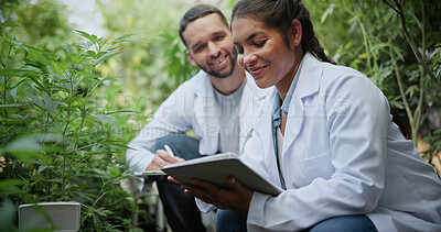 Buy stock photo People, scientist and tablet with cannabis research in greenhouse for marijuana production. Botany, CBD or science experiment with smile, weed or technology for natural growth, harvest or farming THC