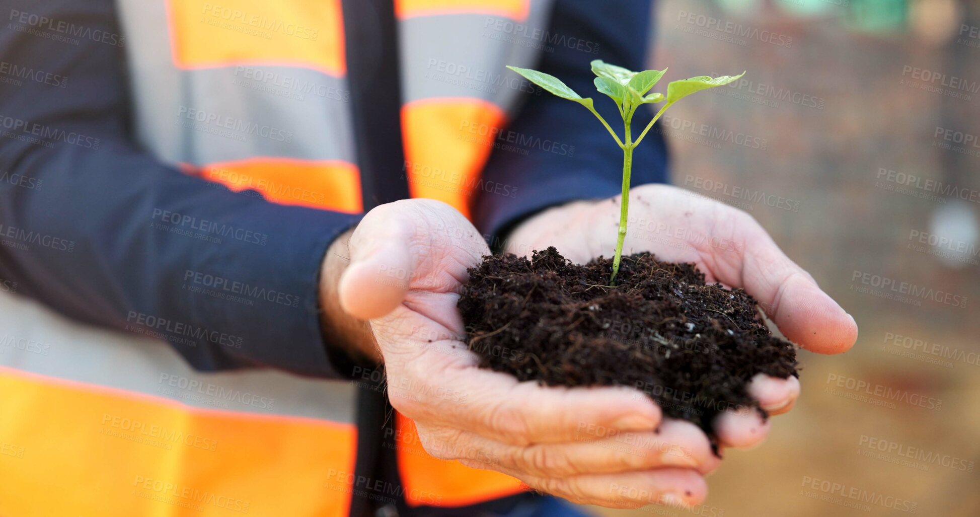 Buy stock photo Hands, soil and construction worker with growth outdoor, eco friendly opportunity and seedling. Architect, sustainable development and person with plant for green infrastructure and architecture