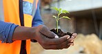 Hands, soil and construction worker with growth at site, eco friendly opportunity or architect with seedling. Building, sustainable development and person with plant, green infrastructure and outdoor