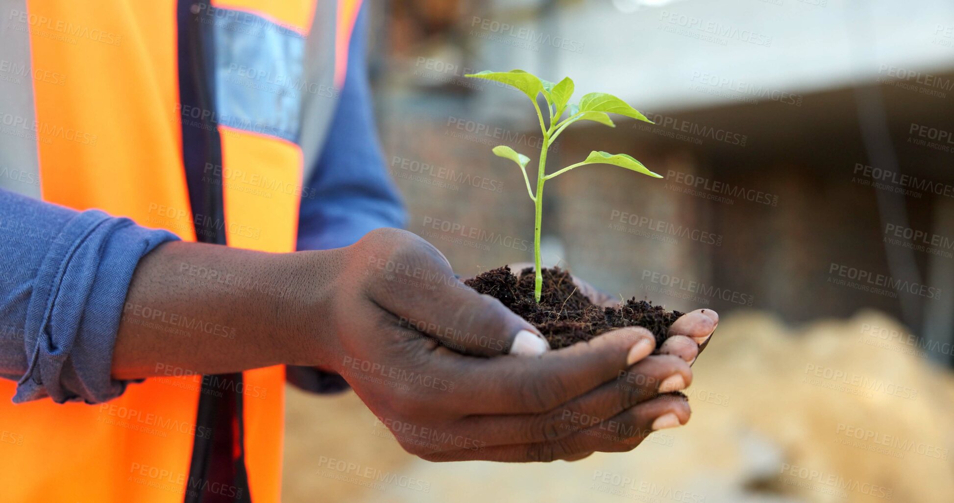 Buy stock photo Hands, soil and construction worker with growth at site, eco friendly opportunity or architect with seedling. Building, sustainable development and person with plant, green infrastructure and outdoor