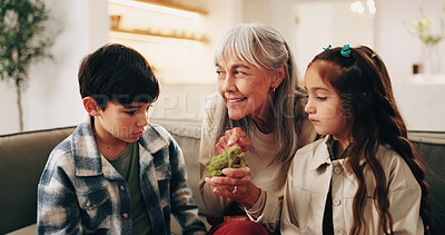 Buy stock photo Happy, frog and grandmother with children on sofa for bonding, love and connection for visit. Family, relationship and kids with grandma for conversation, care and learning with animal on weekend