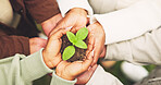 Above, hands and family with plants for growth, sustainability and conservation for earth day. People, soil and leaves in nature for ecology, eco friendly and huddle with fertilizer for horticulture