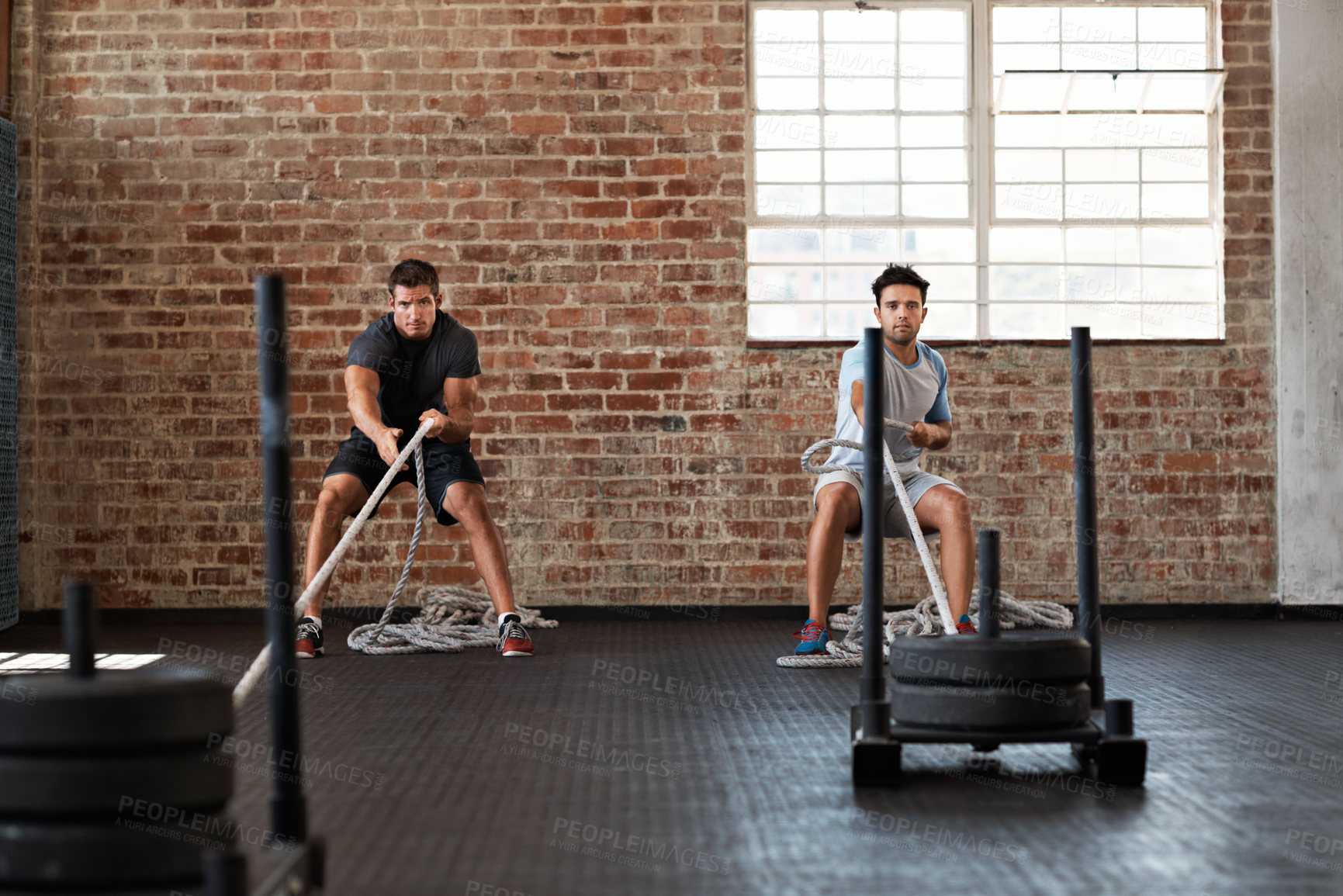 Buy stock photo Pulling, battle rope and men in gym for fitness, bodybuilding or physical activity for arm strength. Bodybuilder, team and people with sled prowler, endurance and serious for workout in health club